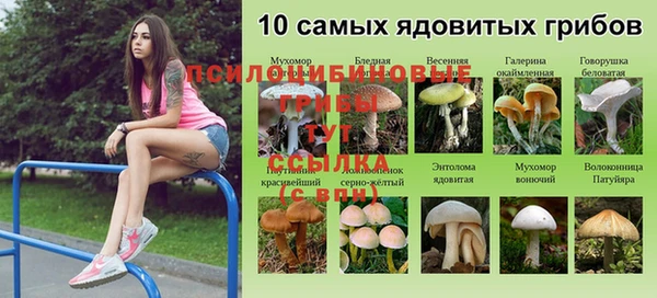 дурь Алзамай